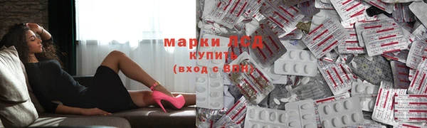 хмурый Аркадак