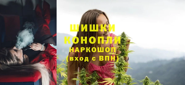 хмурый Аркадак