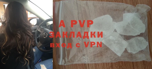 хмурый Аркадак