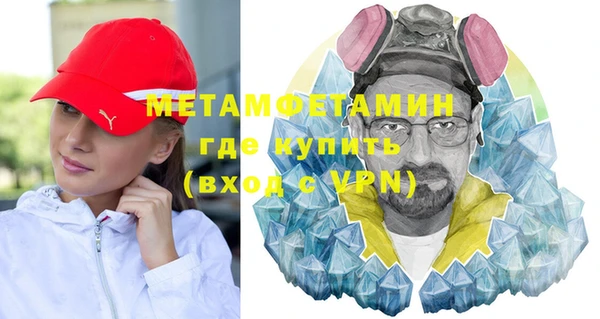 хмурый Аркадак