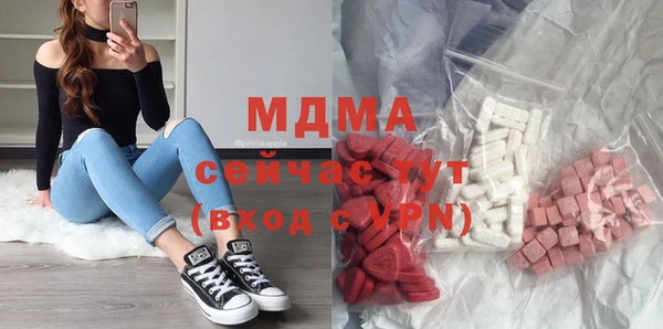 хмурый Аркадак