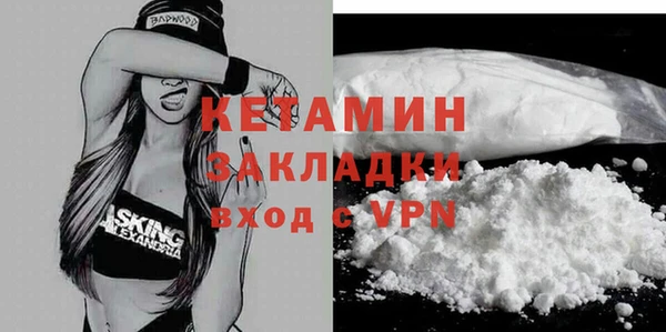 хмурый Аркадак