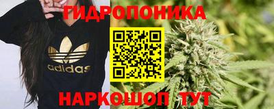 СК Обь