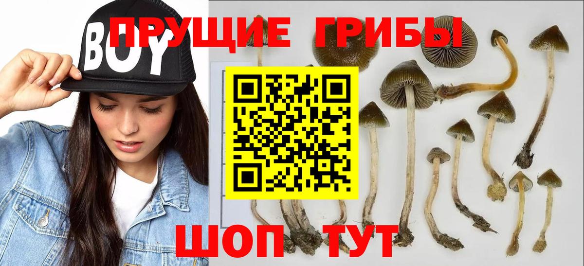Псилоцибиновые грибы мицелий  Галлюциногенные грибы мицелий  Георгиевск  Вход с VPN 